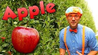 Blippi Visits an Apple Factory  Healthy Eating Videos For Kids  Educational Videos For Toddlers