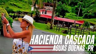 Hacienda Cascada  Aguas Buenas Puerto Rico
