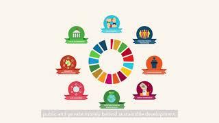 Financing the Sustainable Development Goals Together we can do more
