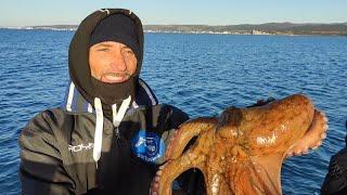 PESCARE IL POLPO DALLA BARCA CON POLPARA E GRANCHIO DI SCOGLIO...