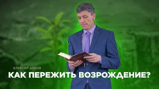 Как пережить возрождение? - Алексей Дедов