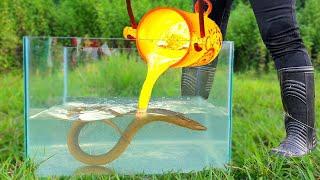 Experiment LAVA vs ELECTRIC EEL Underwater