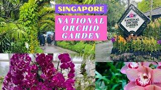 4k National Orchid Garden Singapore  Botanic Gardens  Singapore vlog