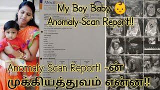 Anomaly Scan 20 -22 weeks in Tamil  Boy Baby Anomaly Scan Reports  Importance of anomaly scan