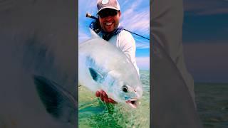 Sight Fishing for Permit in the Bahamas #flyfishing #fishing #onthefly #flyfishinglife