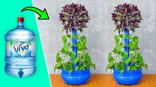 Recycle water tanks to make beautiful vines pots to decorate your home