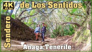 Path of the Senses. Anaga Tenerife