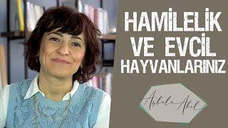 HAMİLELİK VE EVCİL HAYVANLARINIZ Op.Dr. Aybala Akıl