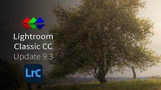 Lightroom Classic CC 9.3 Update - Local Hue Adjustment