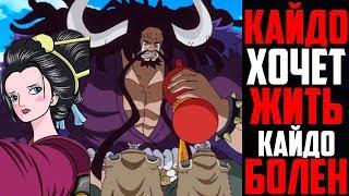 КАЙДО БОЛЕН  КАЙДО НЕ ХОЧЕТ УМИРАТЬ  ПЕРВОЕ ПОЯВЛЕНИЕ КАЙДО  One Piece 931+