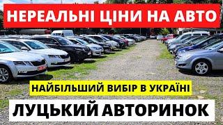 ЩО з ЦІНАМИ на ЛУЦЬКОМУ АВТОРИНКУ  04.06.2024р #автобазар  #автопідбір #автопідбірлуцьк