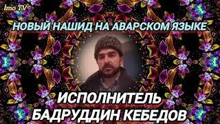 НОВЫЙ НАШИД НА АВАРСКОМ ЯЗЫКЕ.  БАДРУДДИН КЕБЕДОВ.