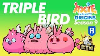 TOP TRIPLE BIRD IN LB  SEASON 9  ORIGINS LEADERBOARD  AXIE INFINITY