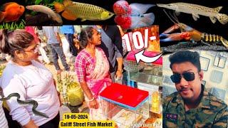 Recent Aquarium Fish Price Update  Galiff street Fish Market  Galiff Street new video 19-05-2024