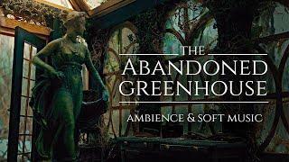 The Abandoned Greenhouse ◈ ASMR Ambience & Soft Music  Rustling leavesWind Howling Relaxing Sounds