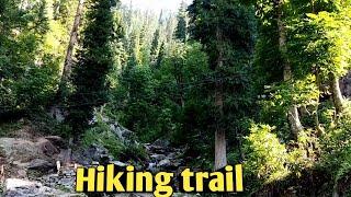 Hiking At KashmirNeelum ValleyAzad Kashmir Vlog4k