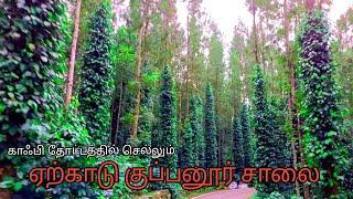 ஏற்காடு to சேலம் குப்பனூர் வழி  சாலை  Yercurd to Salem Via Kuppanur Road  Bike Trip Hills Travel