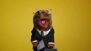 A Groundhog Day Message from Joe the Legal Weasel  The Muppets