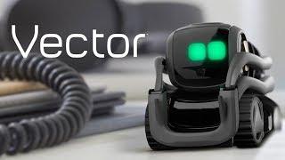 Anki Vector A Robot Sidekick for Your Home