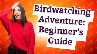 How Can I Start My Birdwatching Journey?