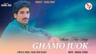 Ghamo Juok by Fazal Deen Diljily New Song  Shina New Song 2024