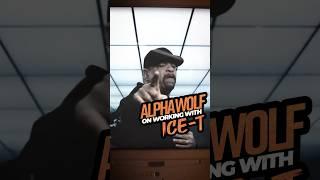 What its REALLY like working with Ice-T