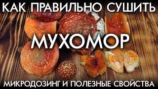 КАК ПРАВИЛЬНО СУШИТЬ МУХОМОР  МИКРОДОЗИНГ И ПОЛЕЗНЫЕ СВОЙСТВА