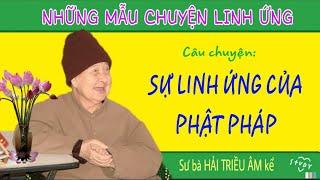 Sự Linh Ứng Của Phật Pháp  Những Mẫu Chuyện Linh Ứng  Sư bà Hải Triều Âm kể