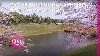 Japan Hanami tour in 360 – Cherry Blossom Sightseeing  Paracosma