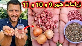 ماذا نزرع في شهر 9 و 10 و 11 الزراعات الخريفية هذا العام مختلف 