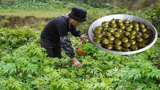 艾草青團怎麼做不發黃？ 阿婆給女兒的愛，綠色軟糯，草味香濃｜Grandma makes mugwort delicacies for her daughter｜#艾草 #广西美食  美食｜ 玉林阿婆