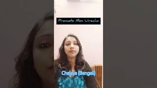 Chaleya Bengali #shortsfeed #shorts #short #shortvideo #song #trending #reels #youtubeshorts #yt