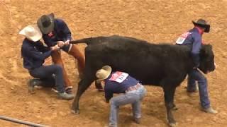 Wild Cow Milking - 2018 WRCA World Championship Ranch Rodeo