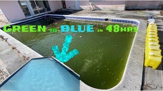 GREEN POOL to BLUE in 48 Hours