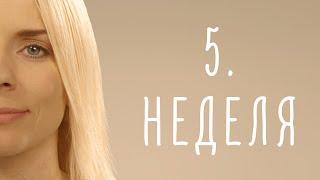 5. неделя беременности