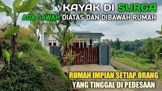 Kayak Di Surga Ada Sawah Diatas Dan Dibawah Rumah Yang Menjadi Impian Setiap Orang Di Pedesaan