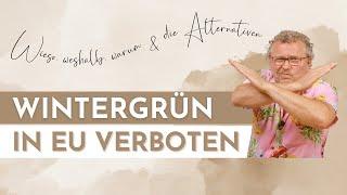 WINTERGRÜN - ÄTHERISCHE ÖLE ALTERNATIVEN  verwende diese ätherischen Öle statt Wintergrün