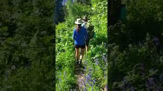 Glacier National Park- Hiking down from Boulder Pass