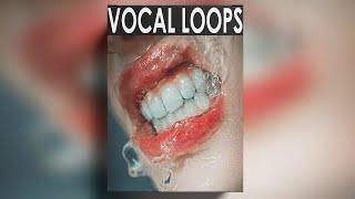 FREE VOCAL LOOPS - dark 2024  female vocal samples