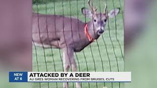 Woman attacked by deer in Au Gres Twp.