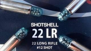 .22 LR CCI Shotshell