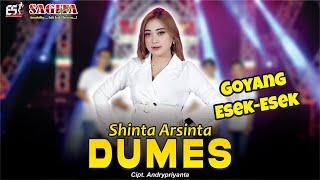 Shinta Arsinta - Dumes  Dangdut Official Music Video