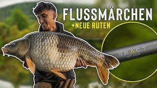 KARPFENANGELN AM FLUSS Essenzielle Tipps und unglaubliche Fänge  mit Dorian Günther