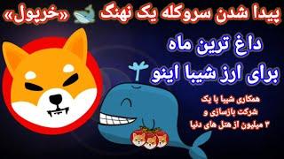 داغ ترین ماه برای ارز دیجیتال شیبا اینو و پیدا شدن سر وکله یک نهنگ خرپول برای رمز ارز شیبا