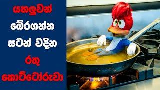 Woody Woodpecker 2024 සිංහල Movie Review  Ending Explained Sinhala  Sinhala Movie Review
