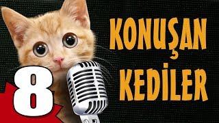 Konuşan Kediler 8 - En Komik Kedi Videoları