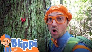 Learning About Nature On A Hike With Blippi  Educational Videos For Kids