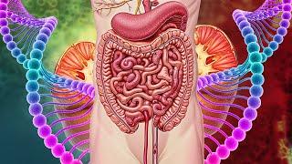 The Body Is Repair After 14 MinWarningVery Powerful Alpha Wave Heal The Whole Internal Organ #10