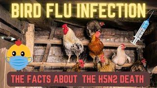 Investigating the Mystery H5N1 Bird Flu and the Case of the Unlikely Victim