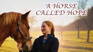 A Horse Called Hope  Classic Horse and Girl Story for The Whole Family